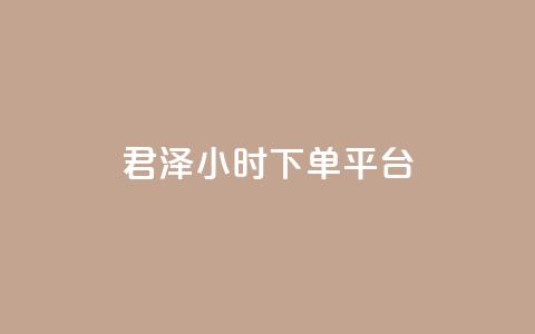 君泽24小时下单平台,ks业务下单平台便宜 - KS低价作品双击 快手业务网站平台24小时 第1张