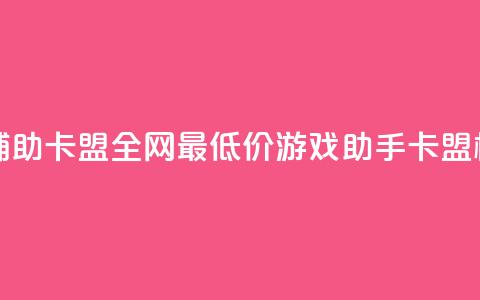 全网最低价游戏辅助卡盟 - 全网最低价游戏助手卡盟，极具性价比！~  第1张