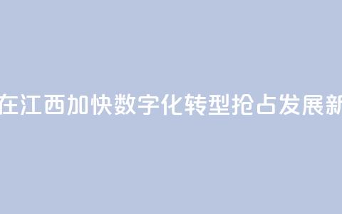 台商在江西:加快数字化转型 抢占发展新赛道 第1张 台商在江西:加快数字化转型 抢占发展新赛道 第1张