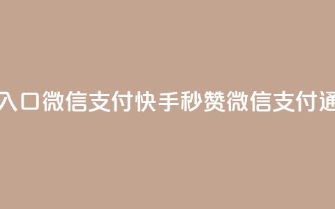 快手秒赞入口微信支付(快手秒赞微信支付通道)  第1张