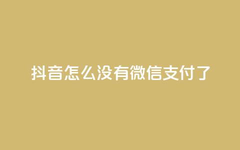抖音怎么没有微信支付了,24小时收购支付宝实名账号 - 抖音60级号能卖多少钱 低价vip会员发卡网 第1张 抖音怎么没有微信支付了,24小时收购支付宝实名账号 - 抖音60级号能卖多少钱 低价vip会员发卡网 第1张