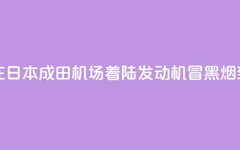 新航波音客机在日本成田机场着陆 发动机冒黑烟致跑道一度关闭  第1张