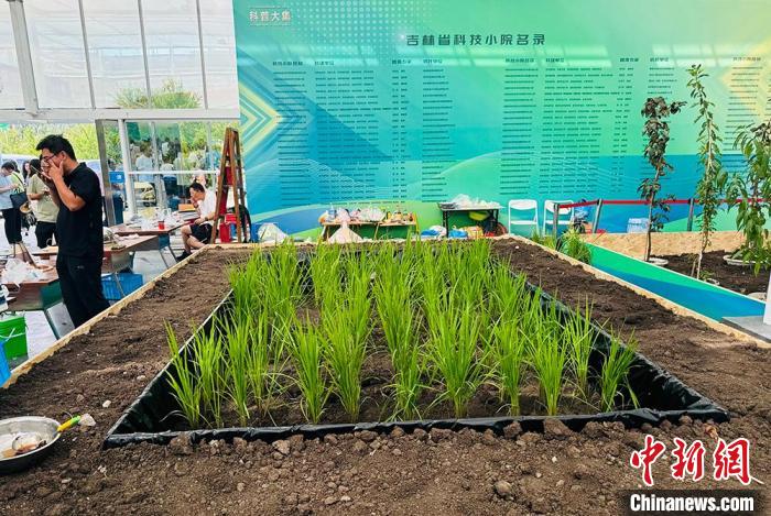 长春农博会观察:科技小院为乡村振兴聚智赋能 第2张 长春农博会观察:科技小院为乡村振兴聚智赋能 第2张