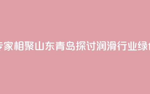 业界专家相聚山东青岛探讨润滑行业绿色发展  第1张