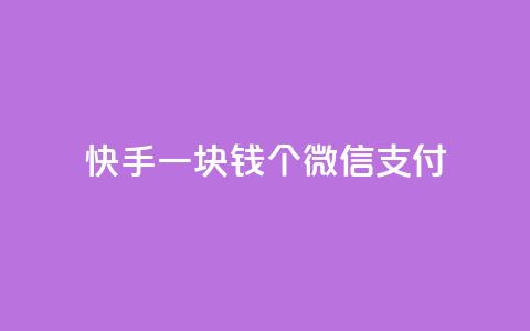 快手一块钱100个微信支付,全网最便宜卡盟 - 自助下单 最专业的平台 低价卡盟全网低价科技  第1张