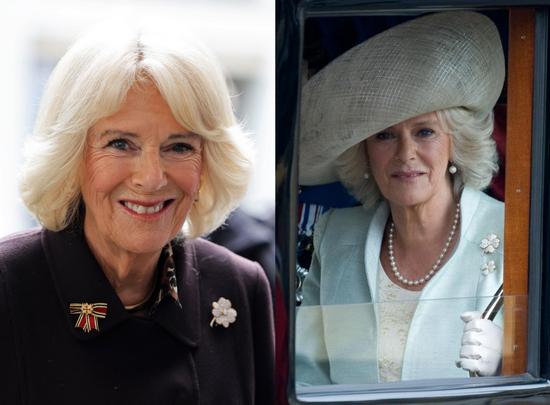 梵克雅宝全球涨价，为什么大家通宵排队买？  第53张