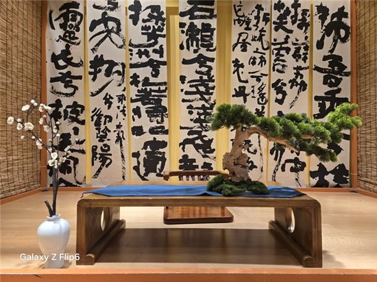 首款骁龙8 Gen3小折叠 三星Galaxy Z Flip6手机评测  第29张 首款骁龙8 Gen3小折叠 三星Galaxy Z Flip6手机评测  第29张