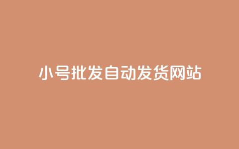 dy小号批发自动发货网站,网红商城在线下单 - 拼多多无限刀软件 拼多多提现套路完整流程  第1张