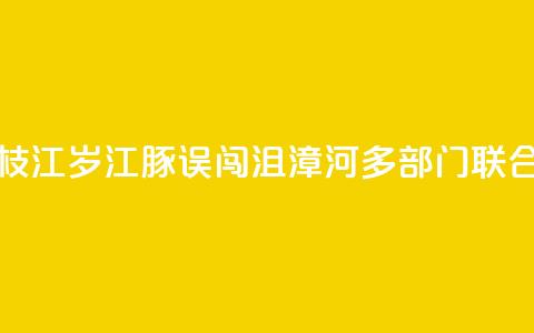 湖北枝江：2岁江豚误闯沮漳河 多部门联合救援  第1张