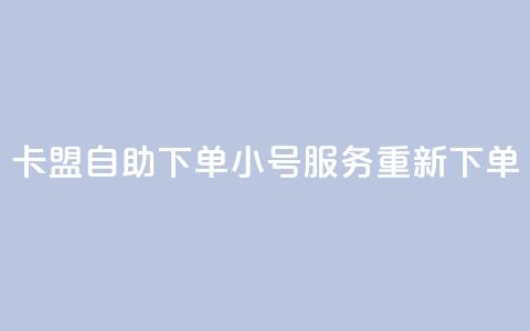 卡盟自助下单小号服务重新下单  第1张