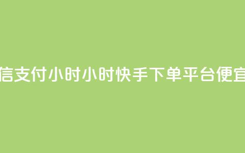 快手微信支付24小时 - 24小时快手下单平台便宜  第1张