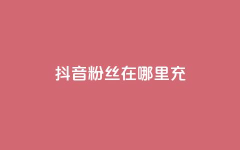 抖音粉丝在哪里充 - 哪里可以快速增加抖音粉丝数！  第1张