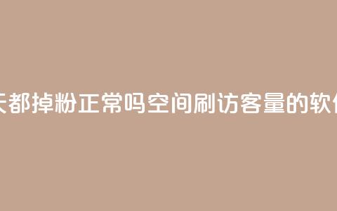 刷粉每天都掉粉正常吗 - QQ空间刷访客量的软件  第1张