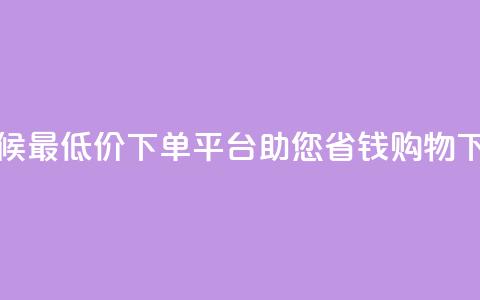 全天候最低价下单平台助您省钱购物  第1张