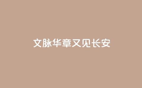 文脉华章｜又见长安  第1张