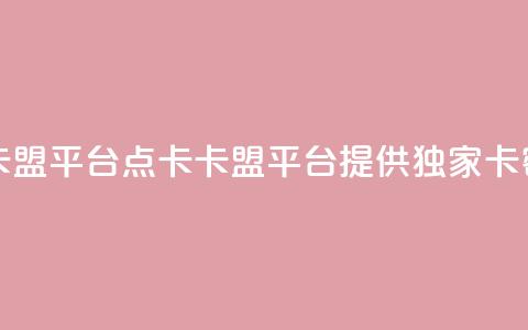点卡卡盟平台(点卡卡盟平台：提供独家卡密服务)  第1张