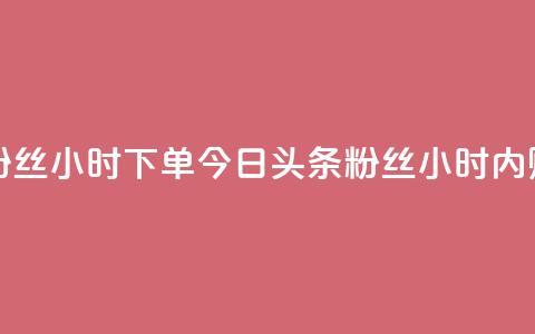 今日头条粉丝24小时下单(今日头条粉丝24小时内购买) 第1张 今日头条粉丝24小时下单(今日头条粉丝24小时内购买) 第1张