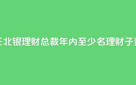 郭振涛获准出任北银理财总裁 年内至少8名理财子董事长、总裁焕新  第1张