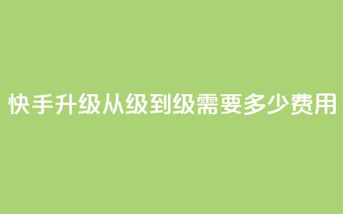快手升级从1级到45级需要多少费用  第1张