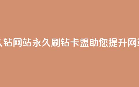 刷钻卡盟永久钻网站(永久刷钻卡盟助您提升网站权重)  第1张