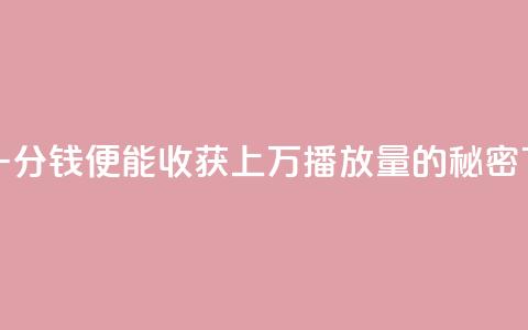 快手一分钱便能收获上万播放量的秘密  第1张 快手一分钱便能收获上万播放量的秘密  第1张