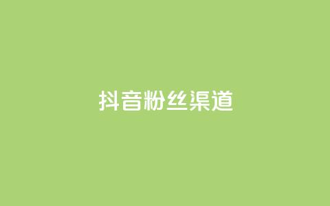 抖音粉丝渠道 - 如何通过抖音提高粉丝获取渠道的效果!  第1张 抖音粉丝渠道 - 如何通过抖音提高粉丝获取渠道的效果!  第1张