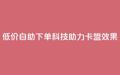低价自助下单科技助力卡盟SEO效果 第1张 低价自助下单科技助力卡盟SEO效果 第1张