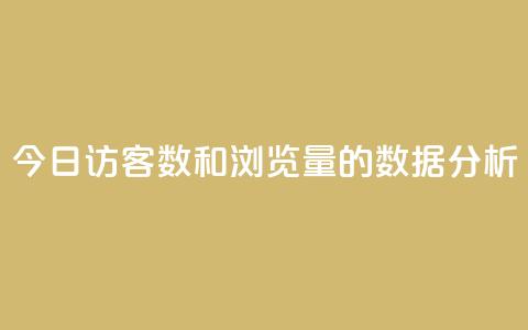 今日访客数和浏览量的数据分析  第1张 今日访客数和浏览量的数据分析  第1张