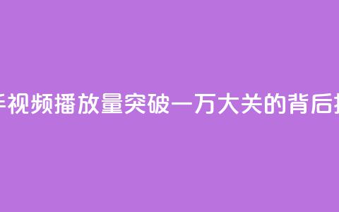 快手视频播放量突破一万大关的背后揭秘 第1张 快手视频播放量突破一万大关的背后揭秘 第1张