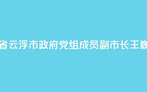 广东省云浮市政府党组成员、副市长王巍被查  第1张