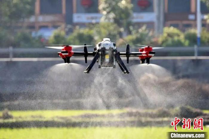 浙江农田“王牌飞行员”打造会飞的“新农具	”  第3张