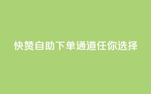 快赞自助下单通道任你选择 第1张 快赞自助下单通道任你选择 第1张