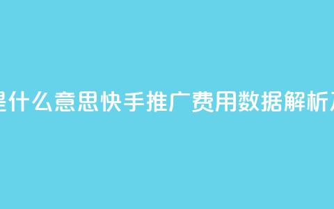 快手推广消耗数据是什么意思 - 快手推广费用数据解析及其含义探讨!  第1张
