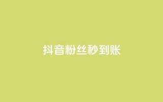 抖音粉丝秒到账 - 抖音迅速到账粉丝攀升！
