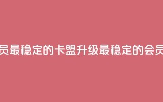 刷会员最稳定的卡盟(升级最稳定的会员卡盟)