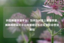 抖音刷播放量平台，如何在抖音上刷播放量，揭秘高收益的平台和策略亿乐社区低价自营货源站