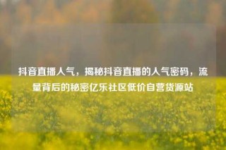 抖音直播人气，揭秘抖音直播的人气密码，流量背后的秘密亿乐社区低价自营货源站
