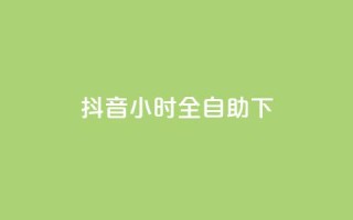 抖音24小时全自助下,KS低价业务下单平台 - 自动下单软件 - 快手24小时下单业务微信支付