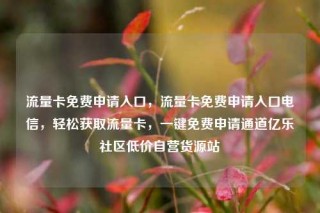 流量卡免费申请入口,流量卡免费申请入口电信,轻松获取流量卡,一键免费申请通道亿乐社区低价自营货源站
