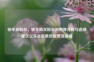 快手买粉丝,快手购买粉丝的利弊分析与选择建议亿乐社区低价自营货源站
