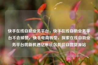 快手在线自助业务平台,快手在线自助业务平台不会掉赞,快手电商转型,探索在线自助业务平台的新机遇亿乐社区低价自营货源站