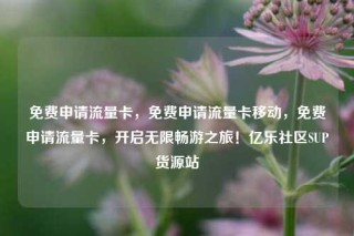 免费申请流量卡,免费申请流量卡移动,免费申请流量卡,开启无限畅游之旅!亿乐社区SUP货源站