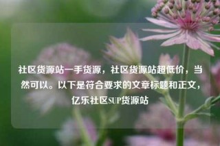 社区货源站一手货源，社区货源站超低价，当然可以。以下是符合要求的文章标题和正文，亿乐社区SUP货源站