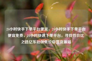 24小时快手下单平台便宜,24小时快手下单平台便宜免费,24小时快速下单平台,寻找性价比之选亿乐社区低价自营货源站