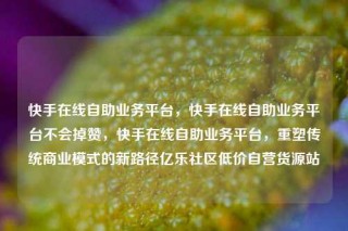 快手在线自助业务平台,快手在线自助业务平台不会掉赞,快手在线自助业务平台,重塑传统商业模式的新路径亿乐社区低价自营货源站
