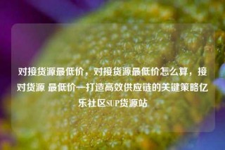 对接货源最低价,对接货源最低价怎么算,接对货源 最低价—打造高效供应链的关键策略亿乐社区SUP货源站
