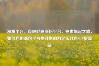 涨粉平台,哔哩哔哩涨粉平台,探索崛起之路,如何利用涨粉平台提升影响力亿乐社区SUP货源站