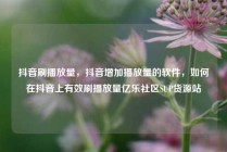 抖音刷播放量，抖音增加播放量的软件，如何在抖音上有效刷播放量亿乐社区SUP货源站