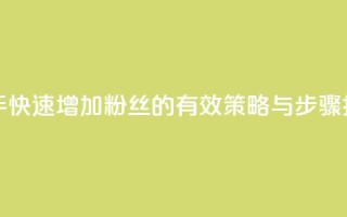 快手快速增加粉丝的有效策略与步骤指南