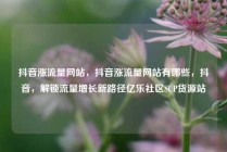 抖音涨流量网站,抖音涨流量网站有哪些,抖音,解锁流量增长新路径亿乐社区SUP货源站